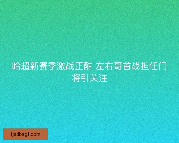 哈超新赛季激战正酣 左右哥首战担任门将引关注